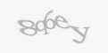 Código de segurança