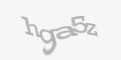 Código de segurança