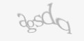 Código de segurança