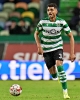 Ilori_19-20_04