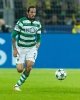 Schelotto_16-17_06